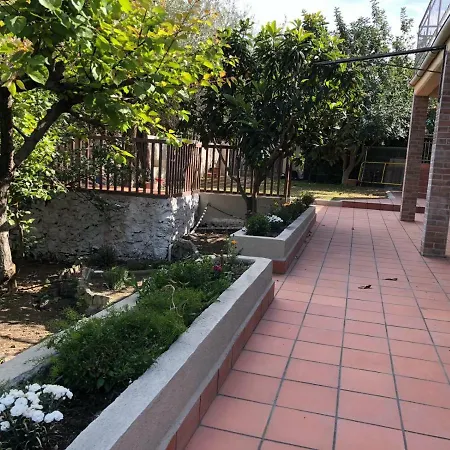 Carrubo - Giardino In Citta * קטאניה
