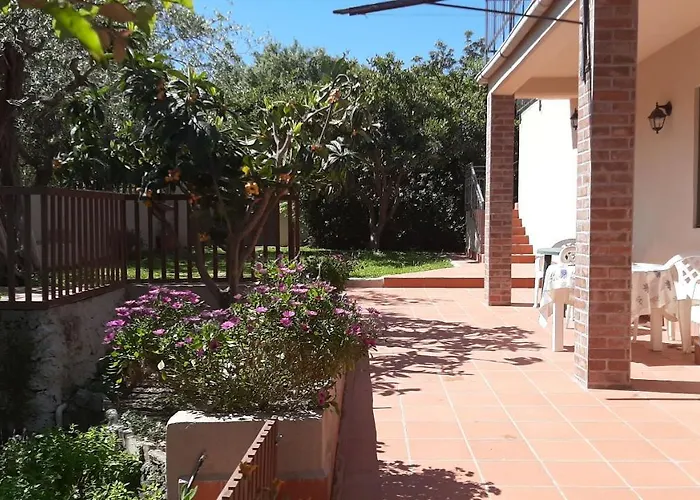 Carrubo - Giardino In Citta Tatil Evi