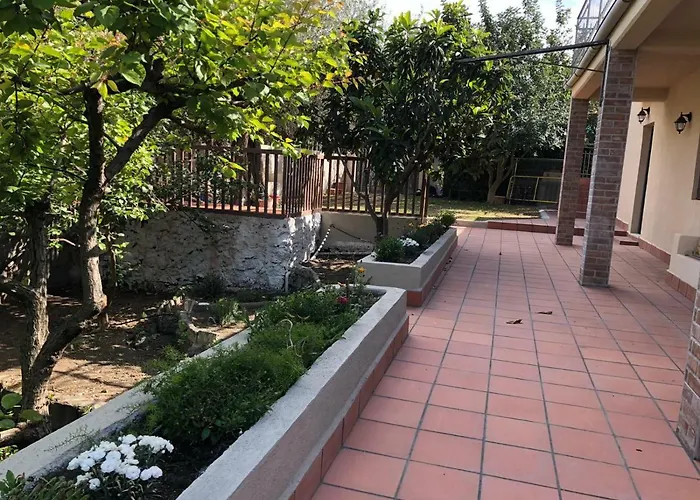 Carrubo - Giardino In Citta * Katanya