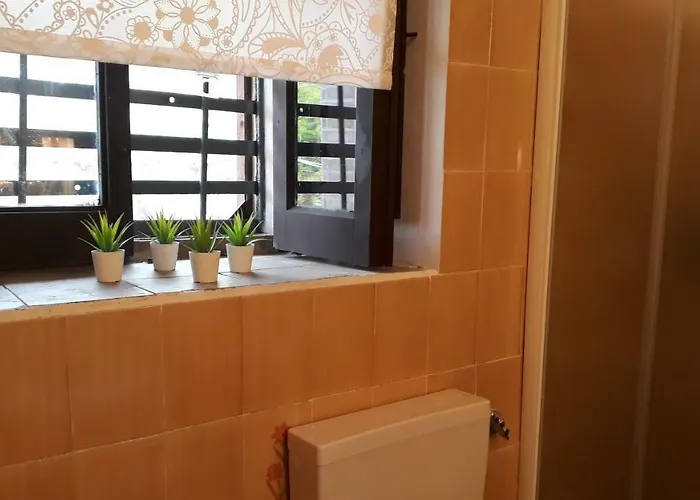 Carrubo - Giardino In Citta Katanya