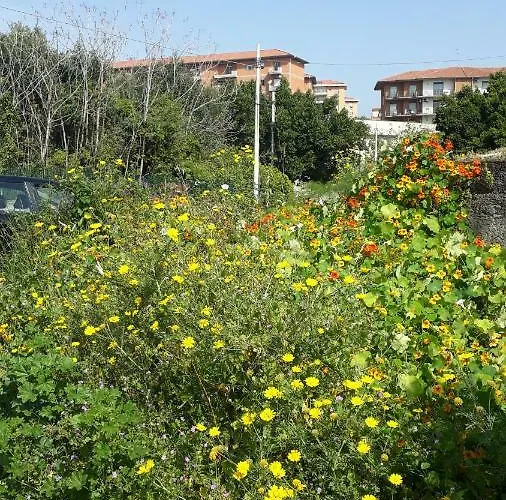Tatil Evi Carrubo - Giardino In Citta