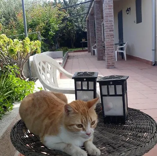 Tatil Evi Carrubo - Giardino In Citta